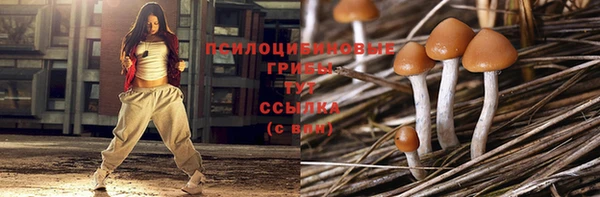 ешки Алексеевка