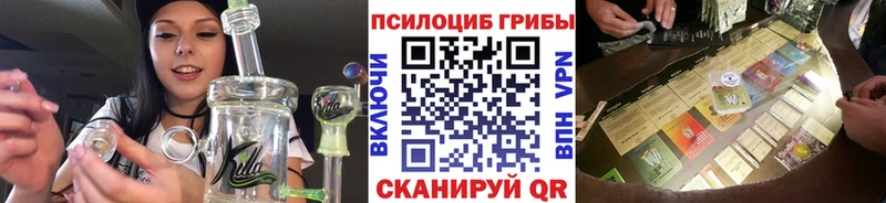 где купить наркотик  Тосно  даркнет формула  Псилоцибиновые грибы Magic Shrooms 